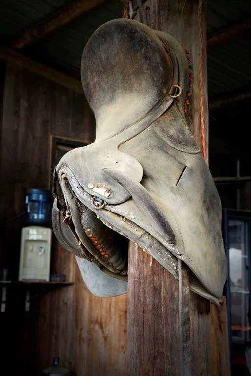 Saddle hanging.jpg