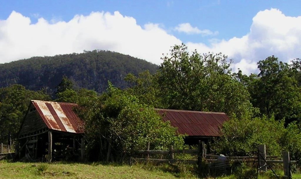 Picture53.jpg
