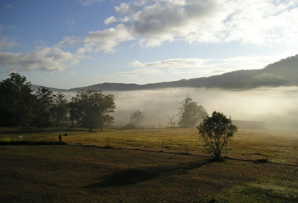 Picture65.jpg