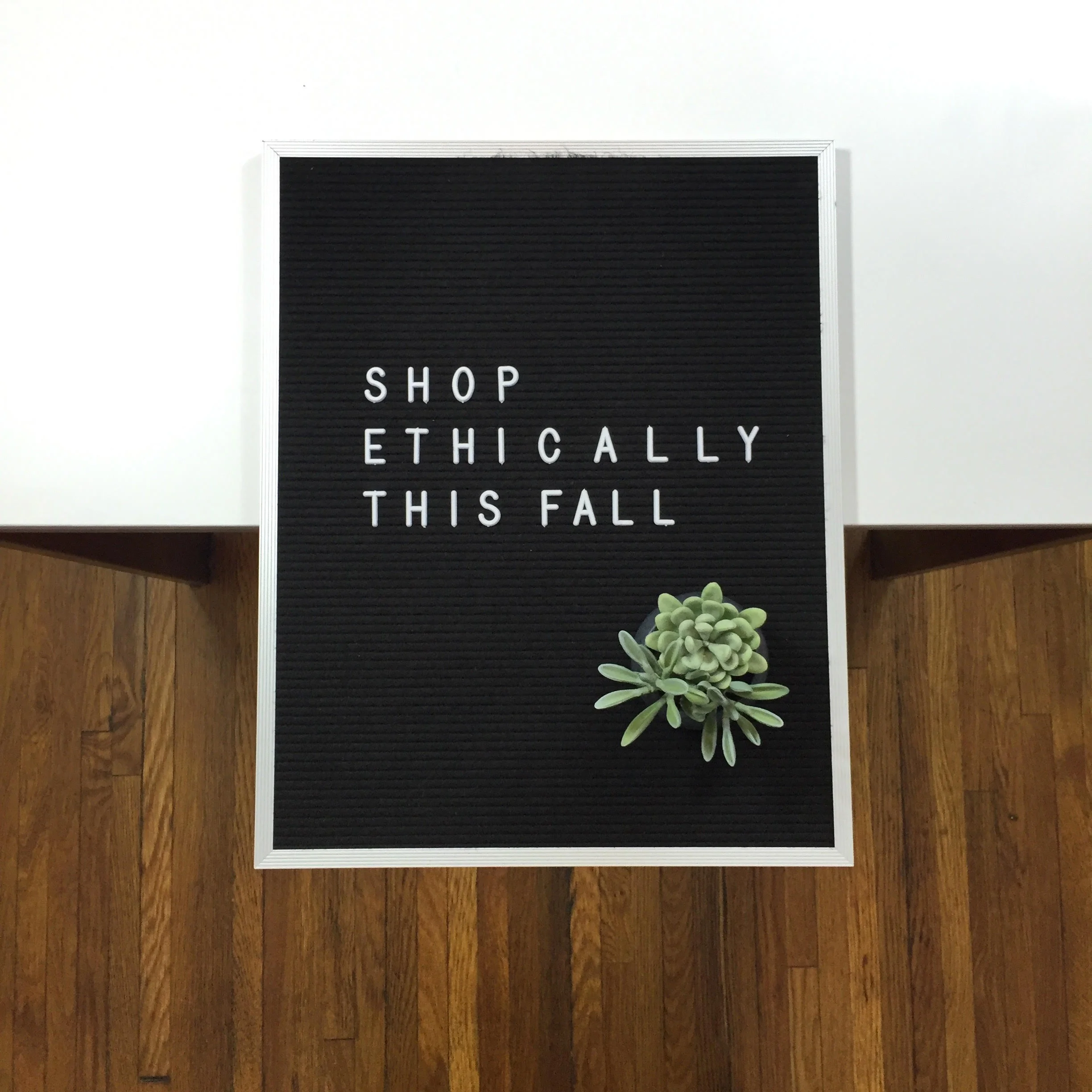 shop thical.jpg