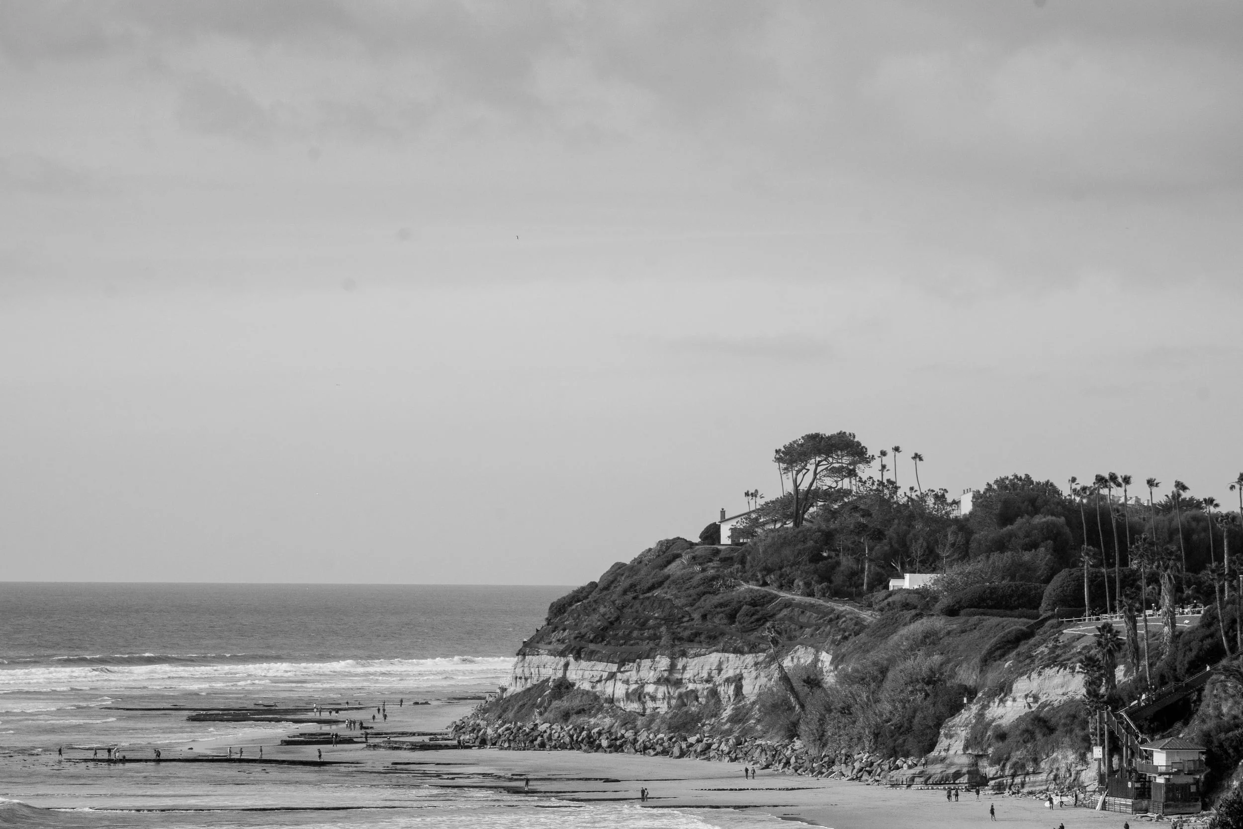MuchoArigato_COASTAL-5.jpg