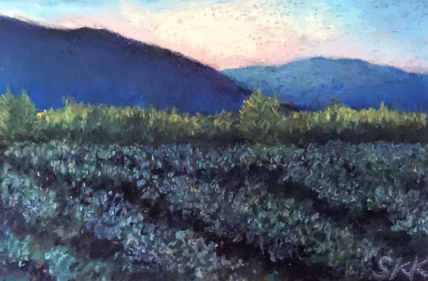Blueberry Fields, Miracle Valley Pastel.jpg