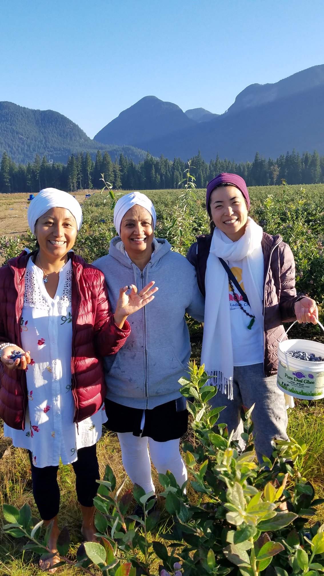 KLC 2019 Picking Blueberries.jpg
