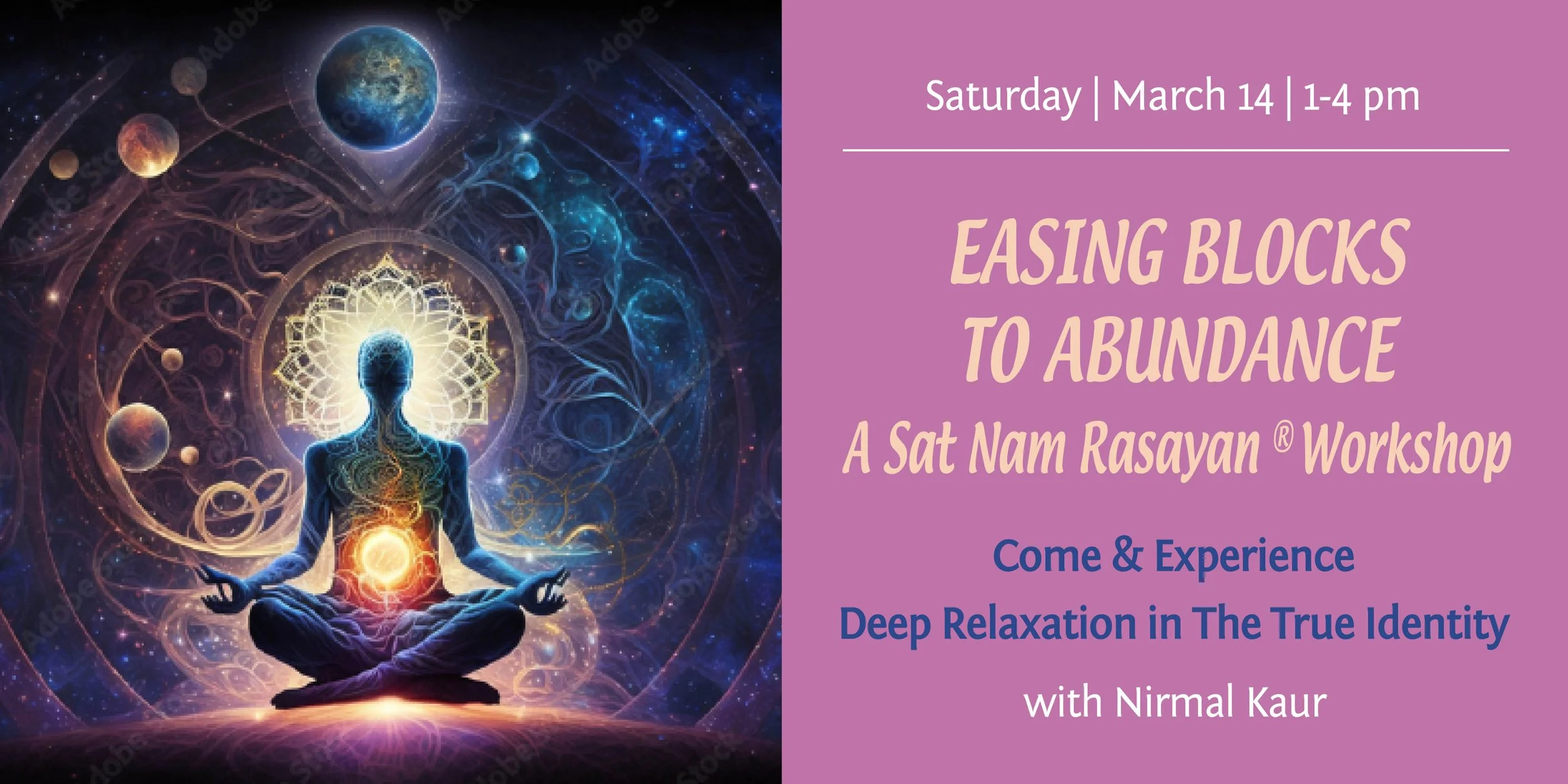 SNR banner 2026 March .jpg