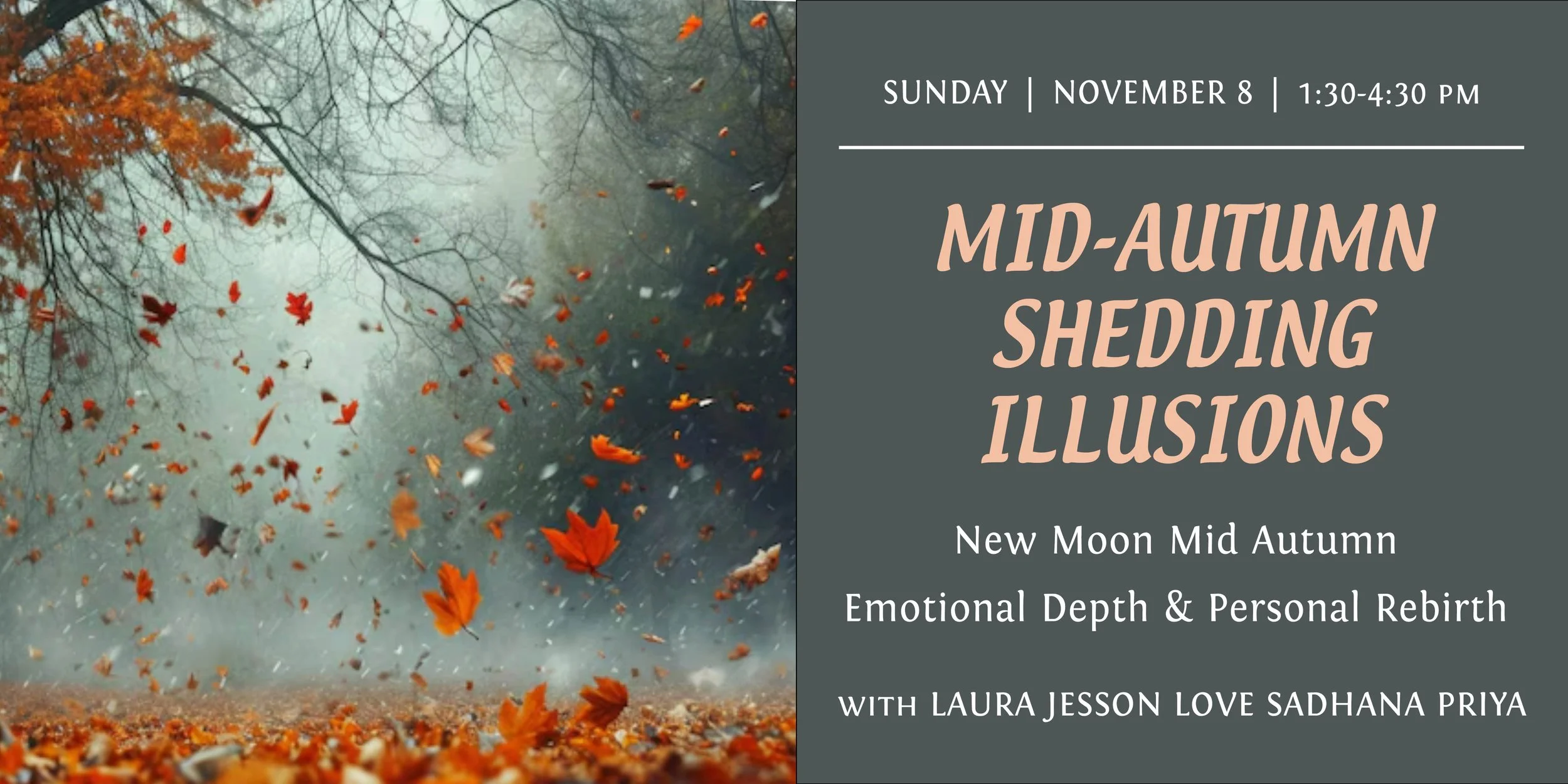 Shedding Illusions 2026 - banner.jpg