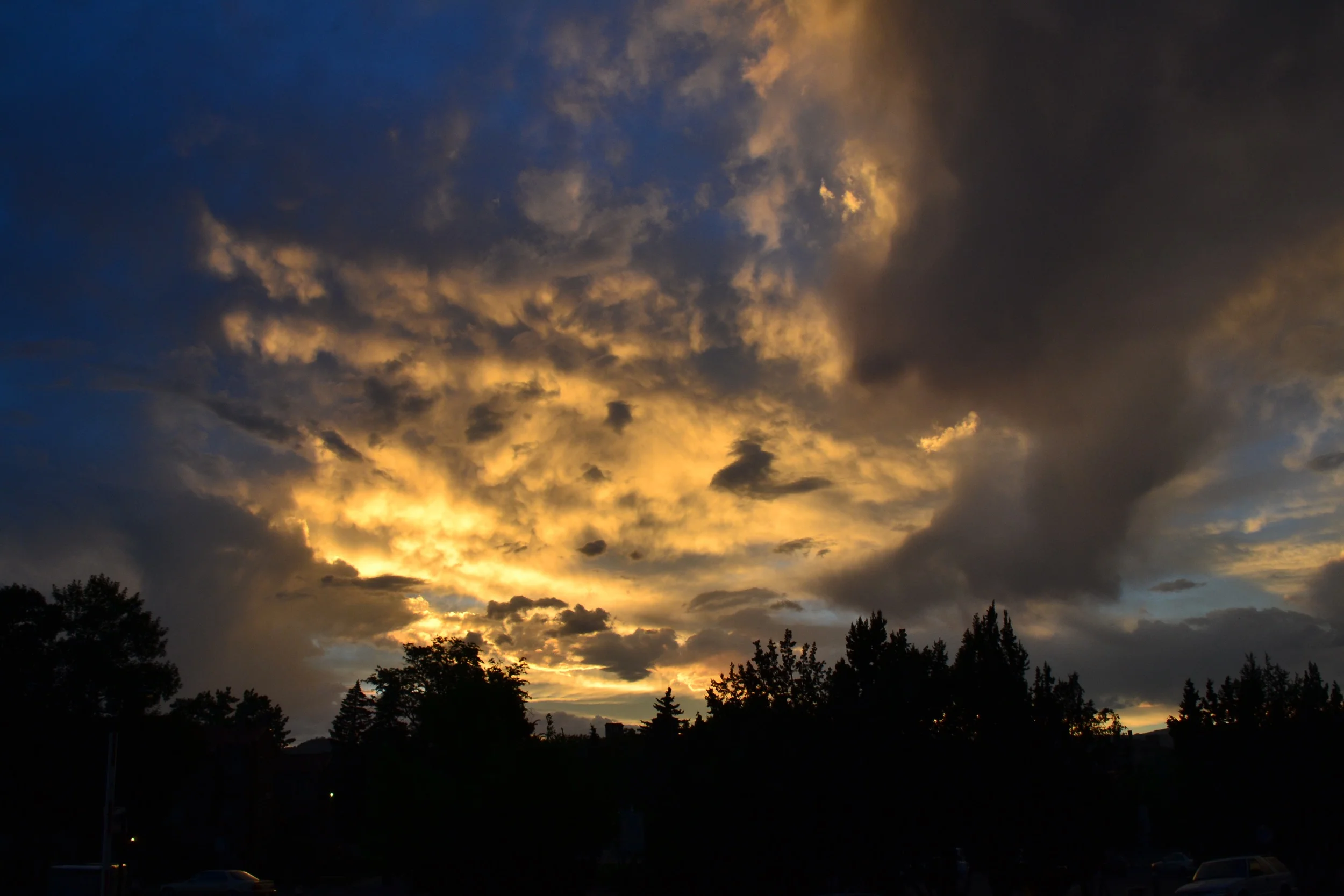 DSC_0514.jpg