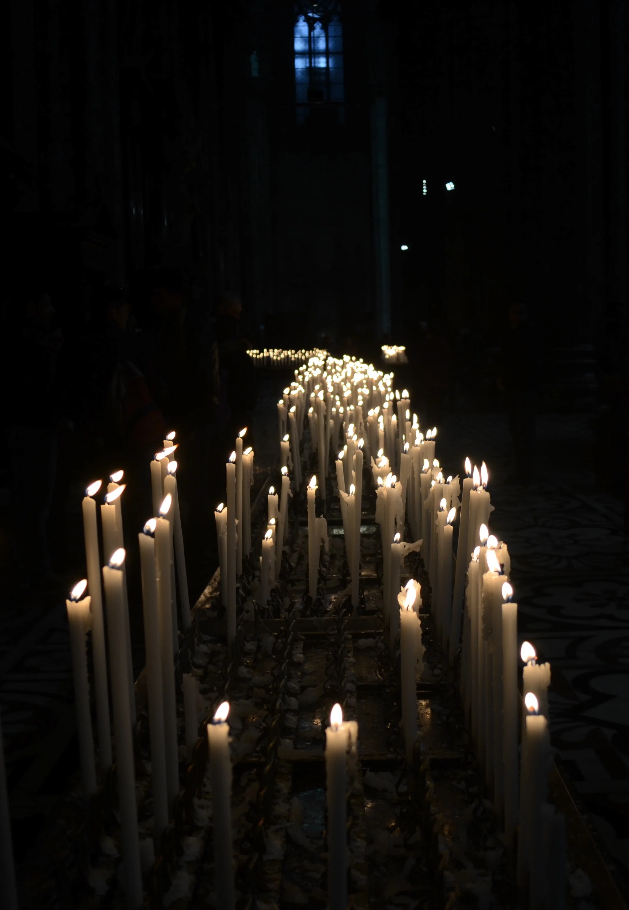 DSC_0119 (1).jpg