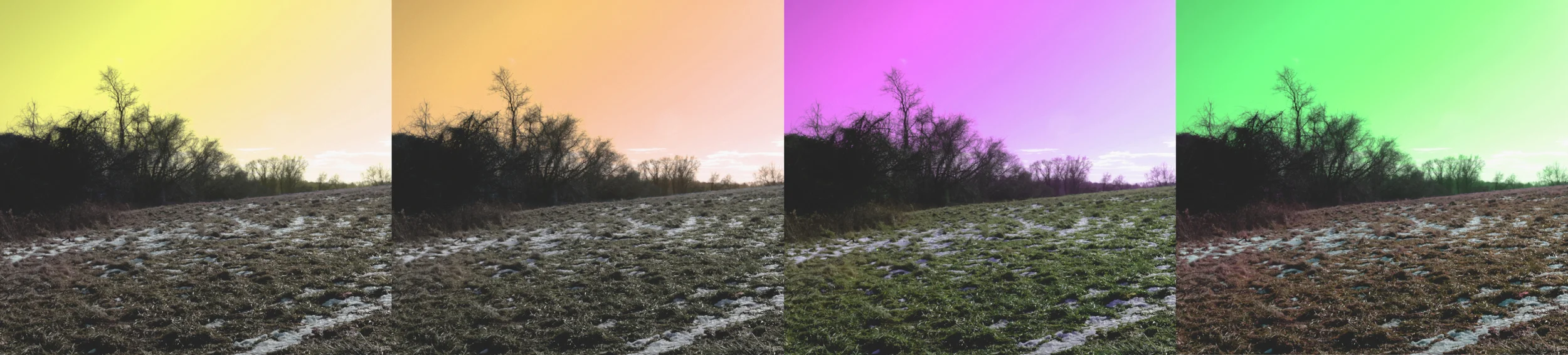 meadow_4.jpg