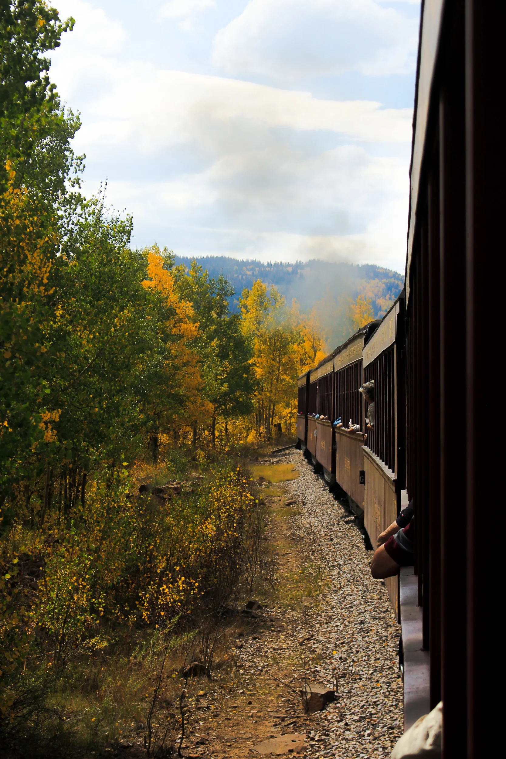 Aspens down the Line