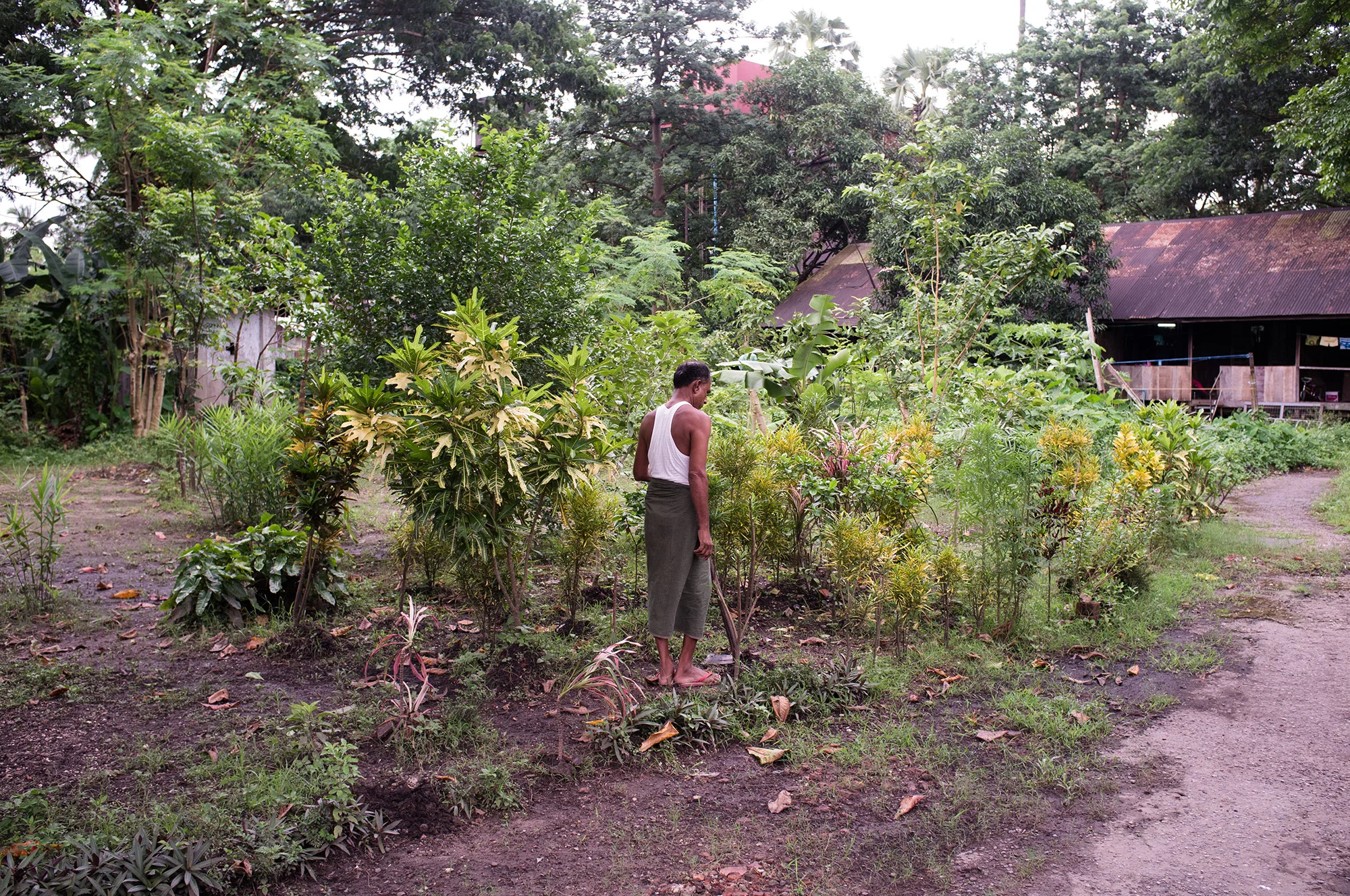 Tending to his garden.