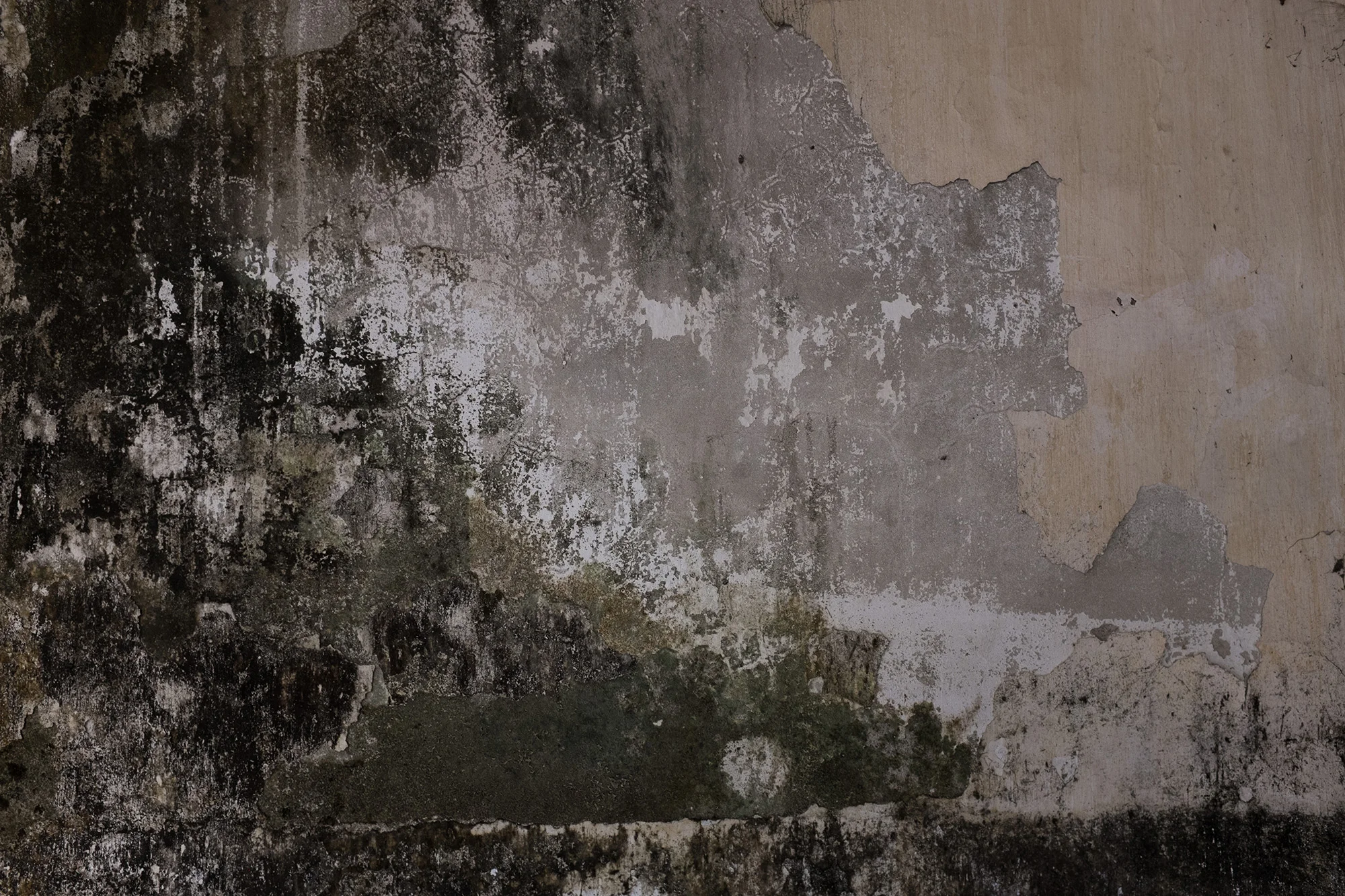 A peeling wall.