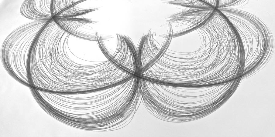 Line of Enquiry - Liana Vargas