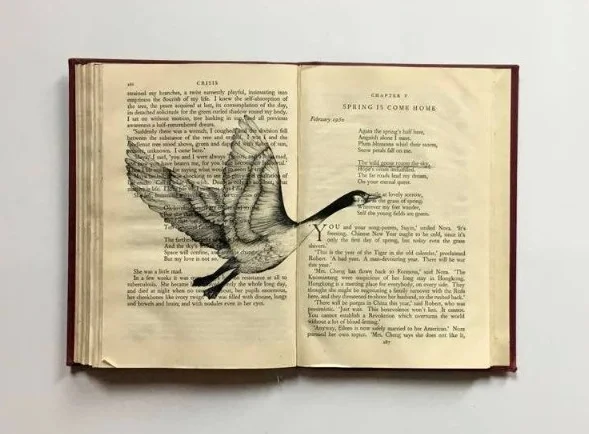 book.jpg
