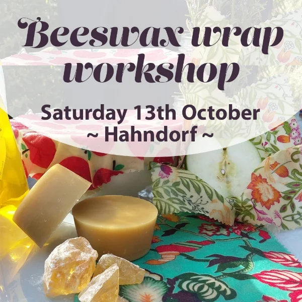 insta_workshop13oct2018.jpg