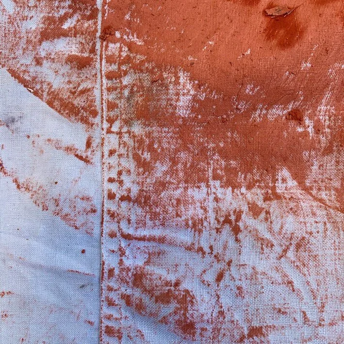 India Flint 'Burning Questions'.jpg