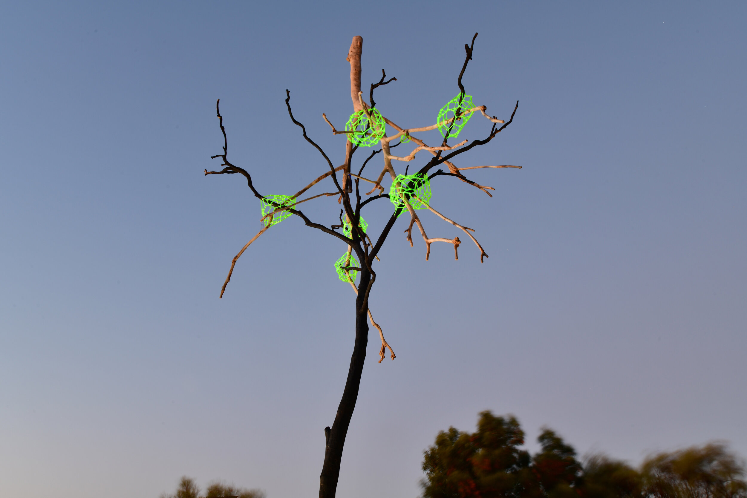 Karl Meyer  Transition