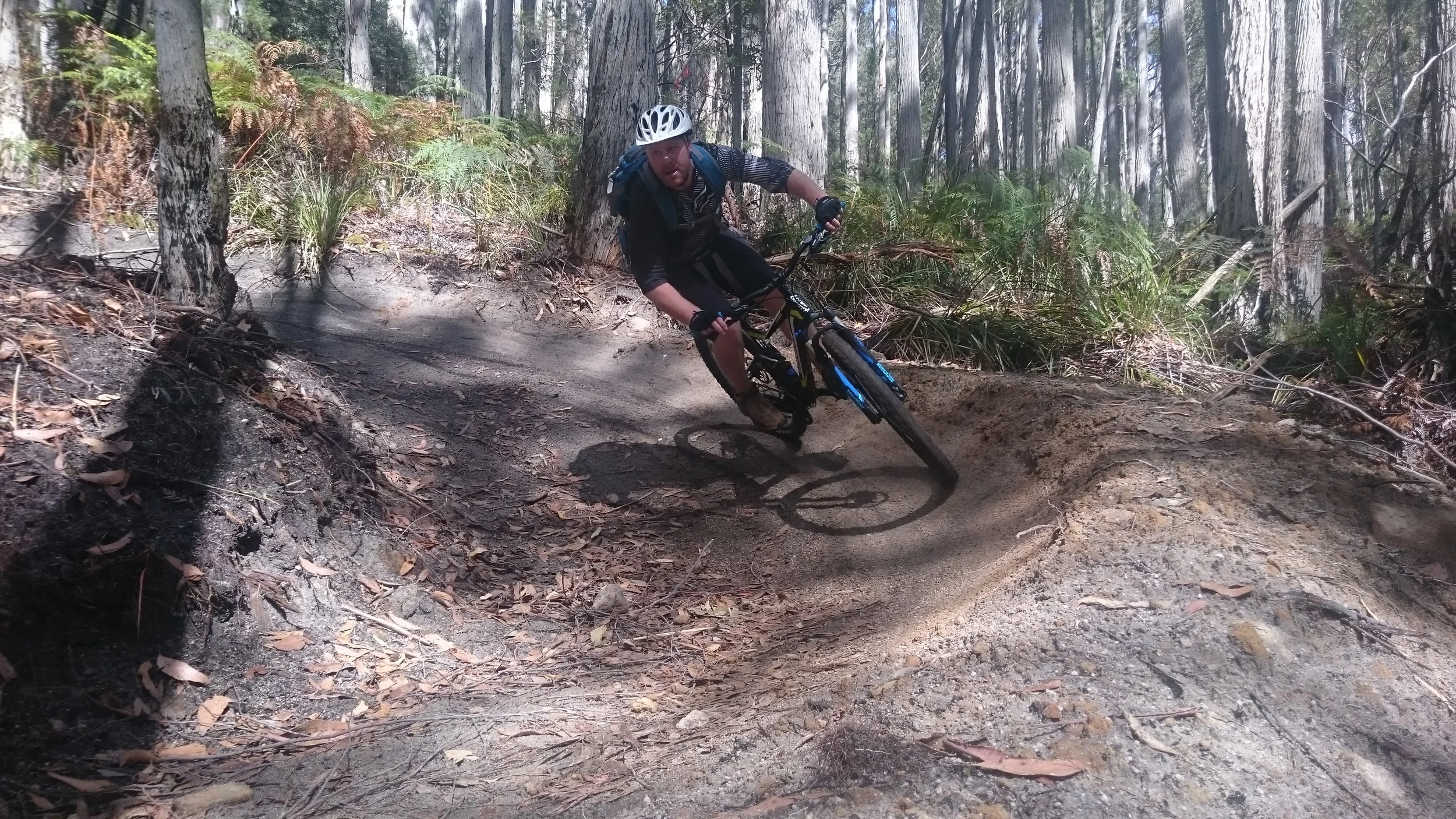 Blue Derby trail