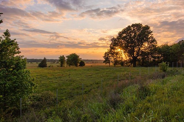 Last week at Shelby Farms Park off the Chickasaw Trail #pentax #pentaxian #k3 #longtimenoinsta #shelbyfarms #shelbyfarmspark #chickasawtrails