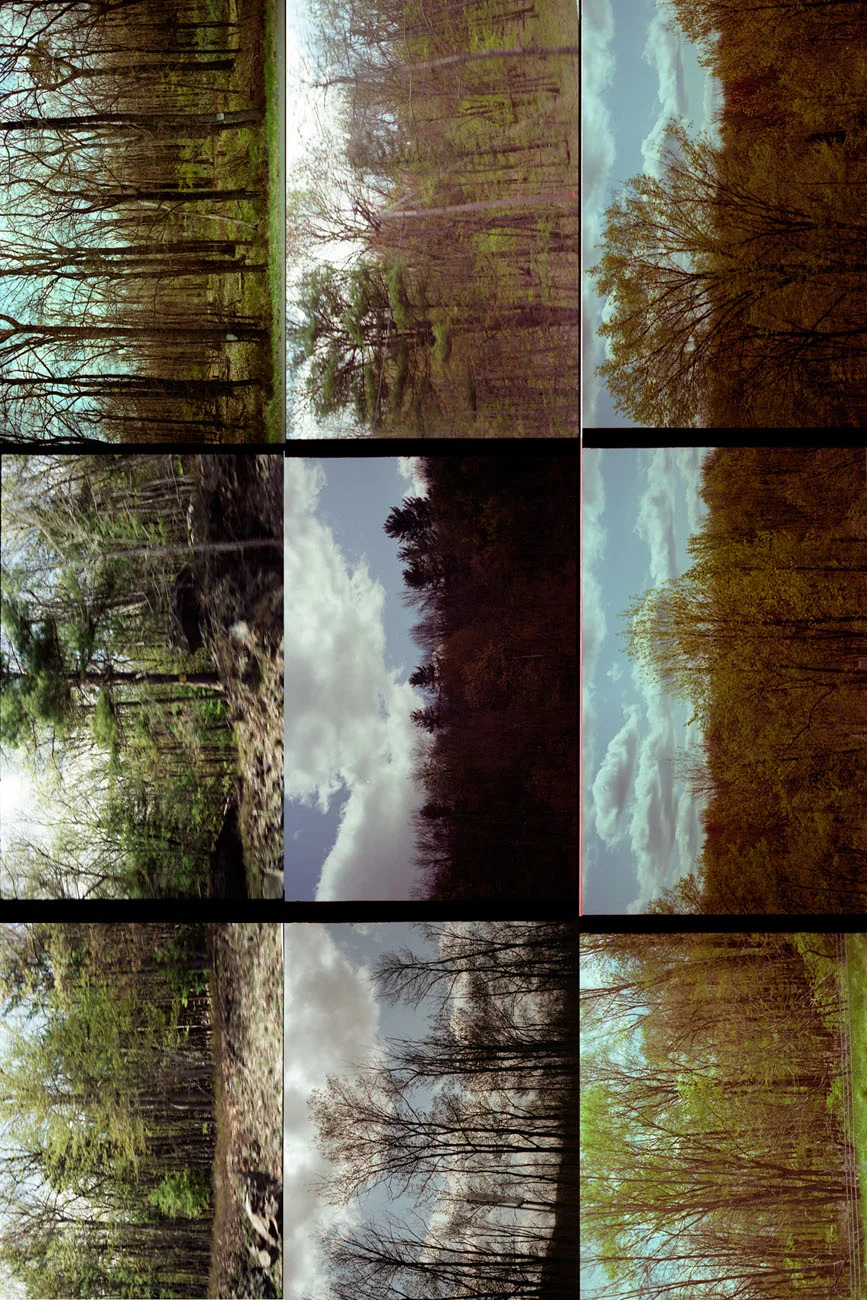 053_586_stabile_012_scraps.jpg
