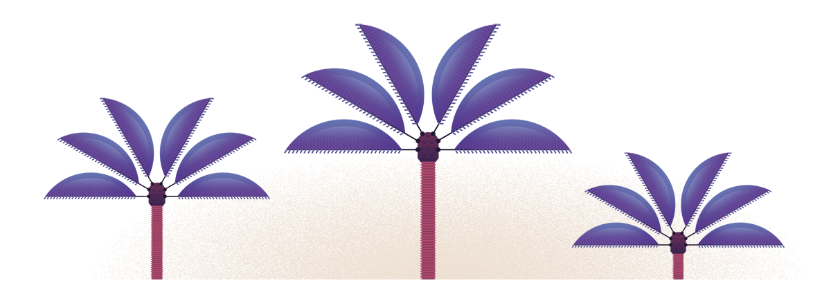 PALMIERS.png