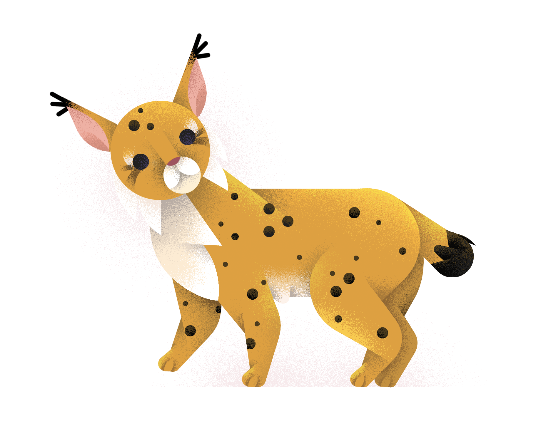 Lynx-Auzou.png