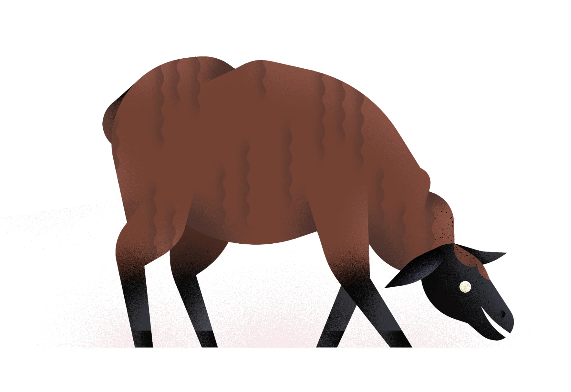 Mouton-Auzou.jpg