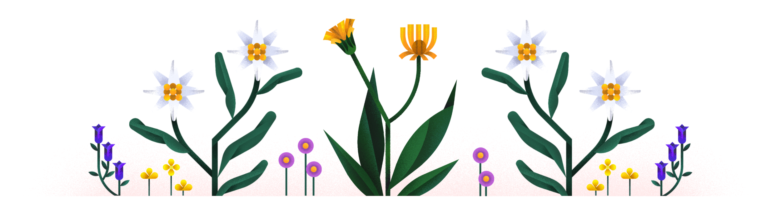 FLEURS-AUZOU.png