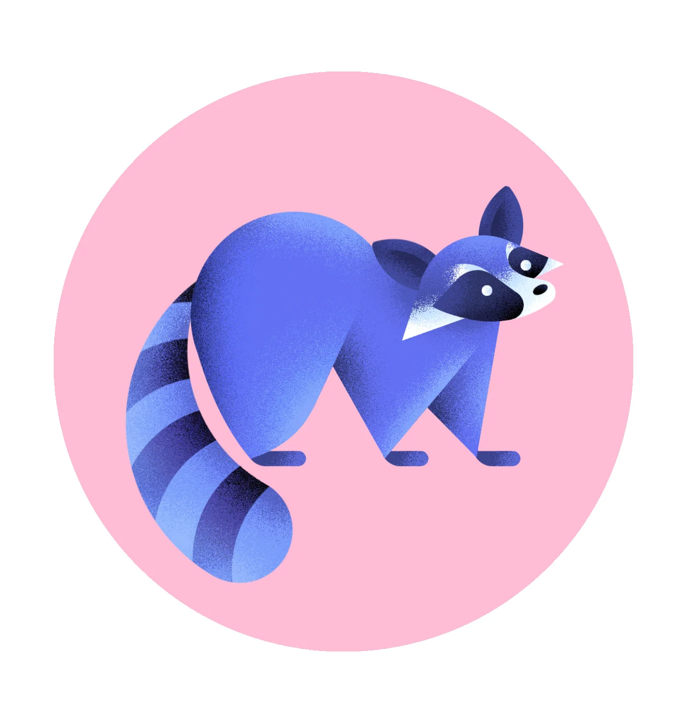 RGB_WSJ_Critters_Raccoon_ copie.jpg