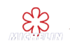 michelin.png