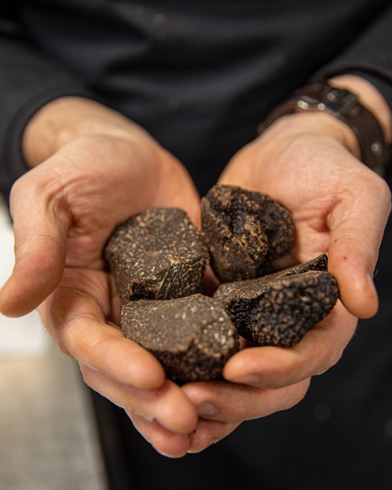 Du 12 janvier au 11 f&eacute;vrier nous mettons la TRUFFE &agrave; L' HONNEUR ✨
➤ Vous pourrez la retrouver sous toutes les formes &amp; textures dans notre menu 🍽️ de caract&egrave;re imagin&eacute; par le Chef @romaingandolphe.

D&eacute;couvrez n