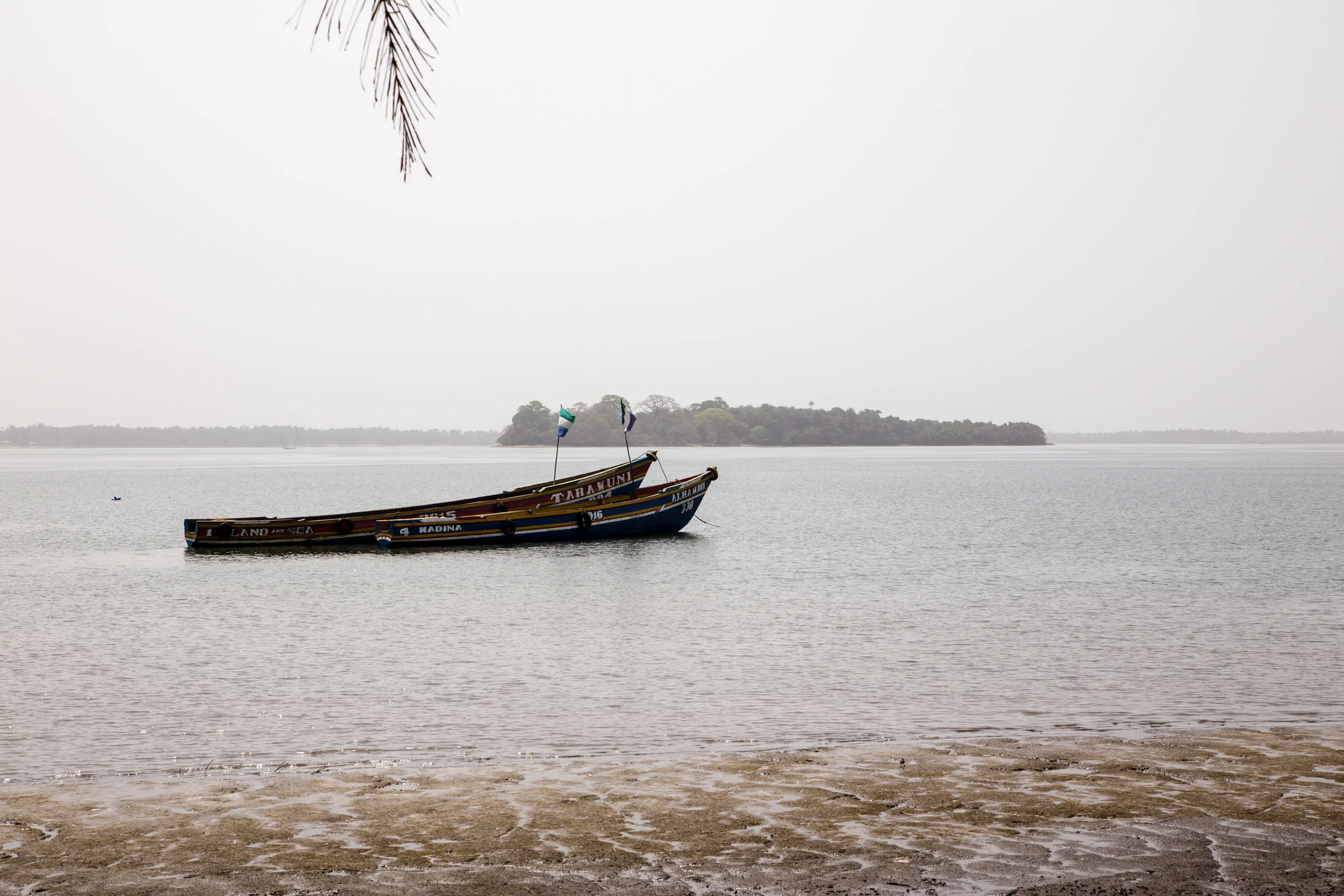Bunce Island from Pepel