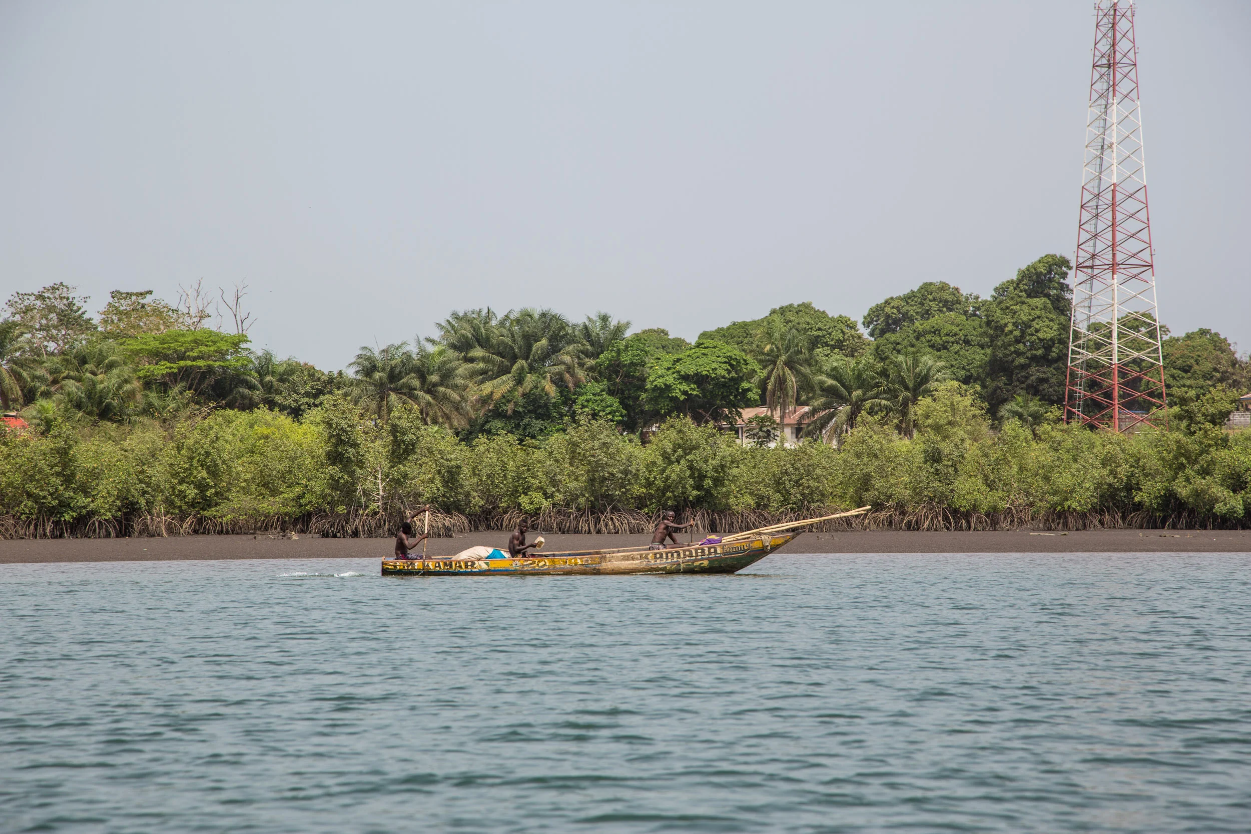 local fishing