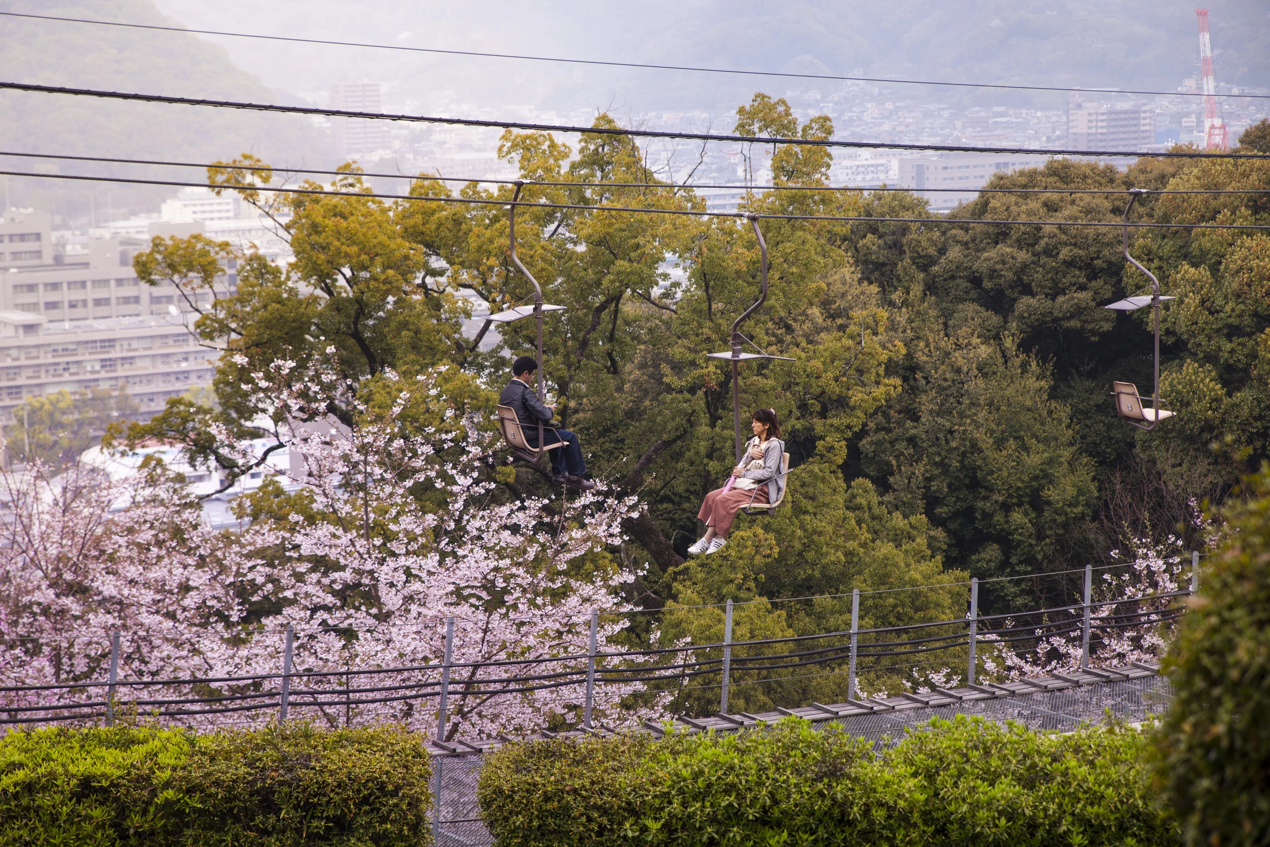 Citrus Adventures in Ehime