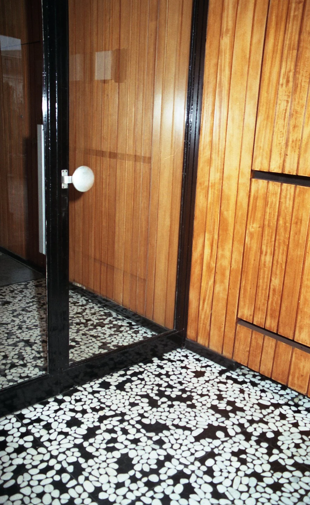img216.jpg