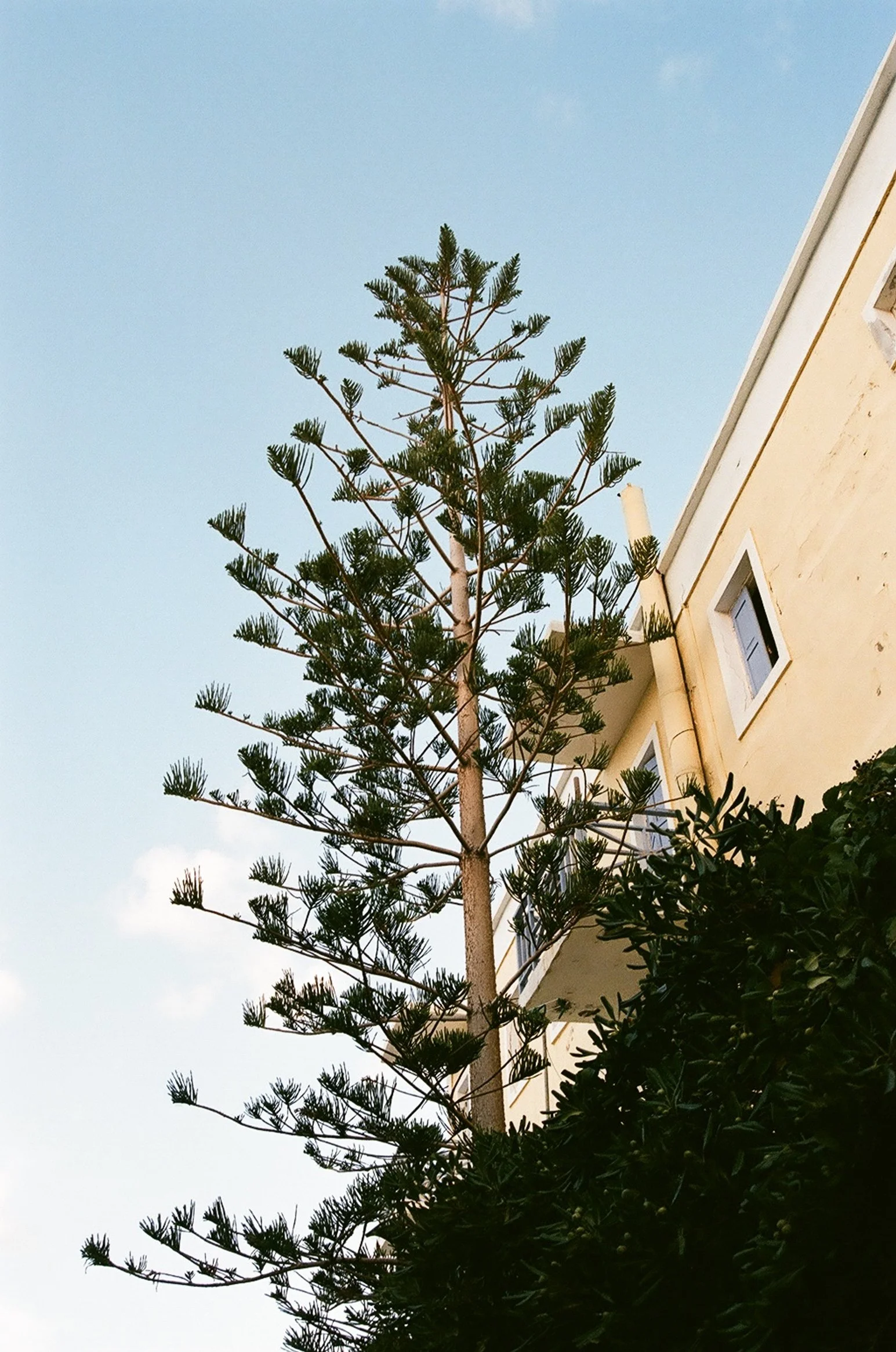80320027.JPG