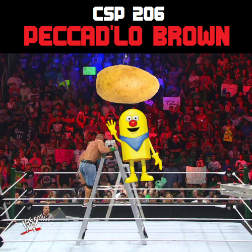 csp206.png