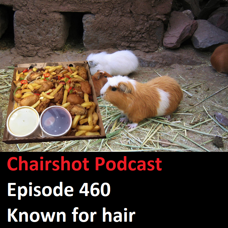 #460 - Known for Hair episode artwork