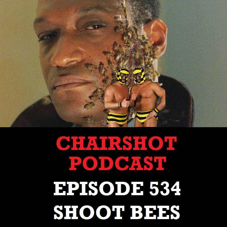 #534 - Shoot Bees episode artwork