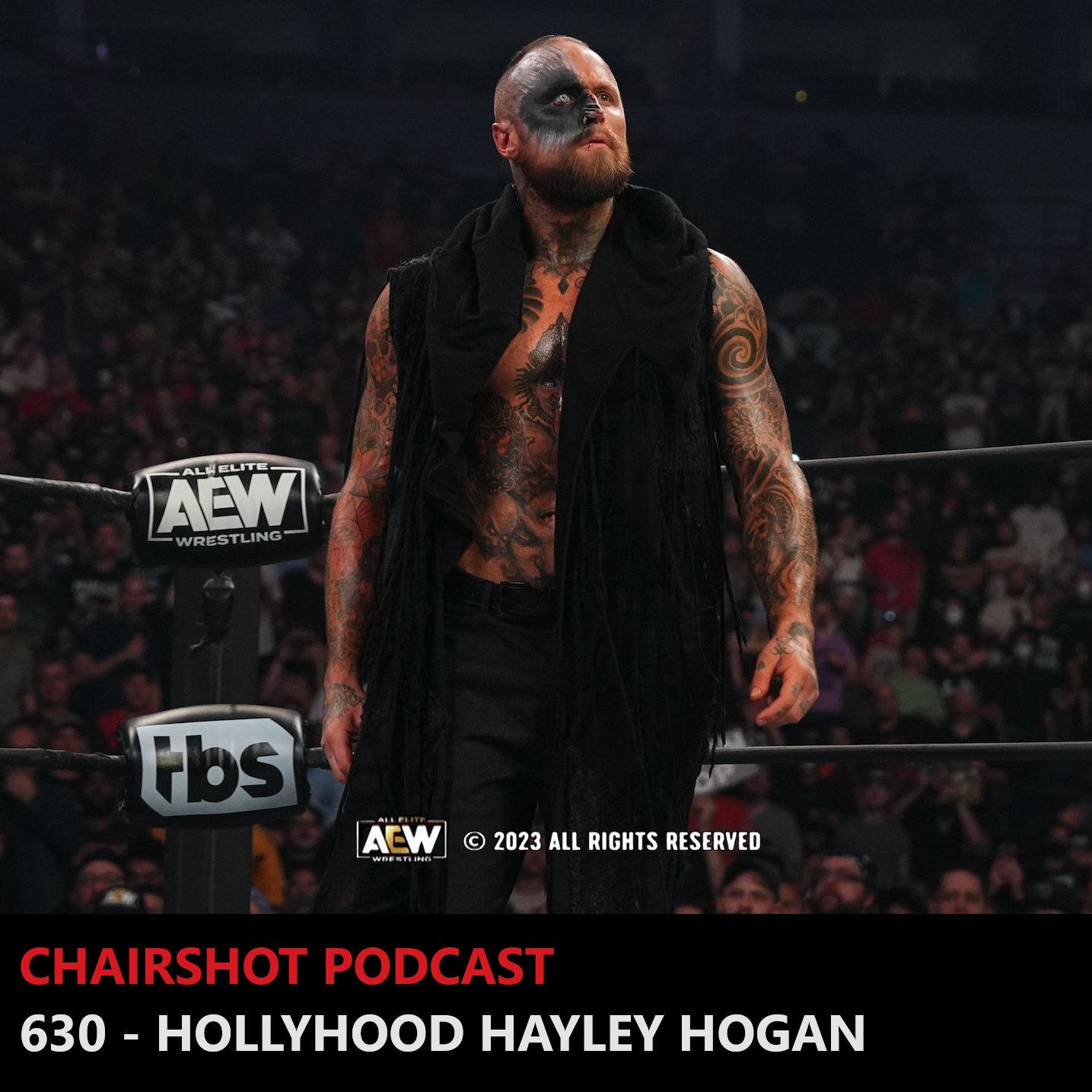 #630 - Hollyhood Hayley Hogan episode artwork
