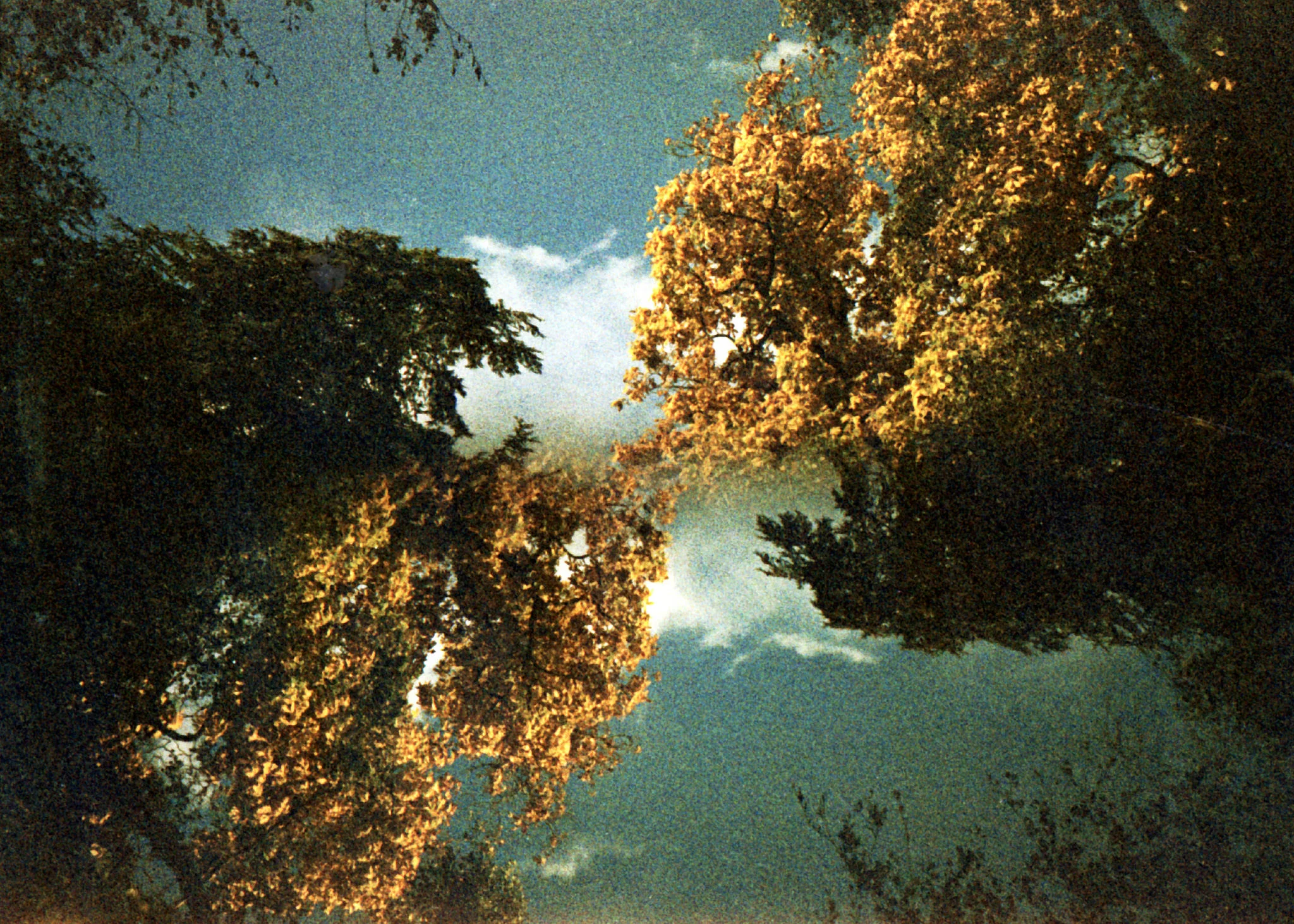 16800168058_f03735d7d1_k.jpg