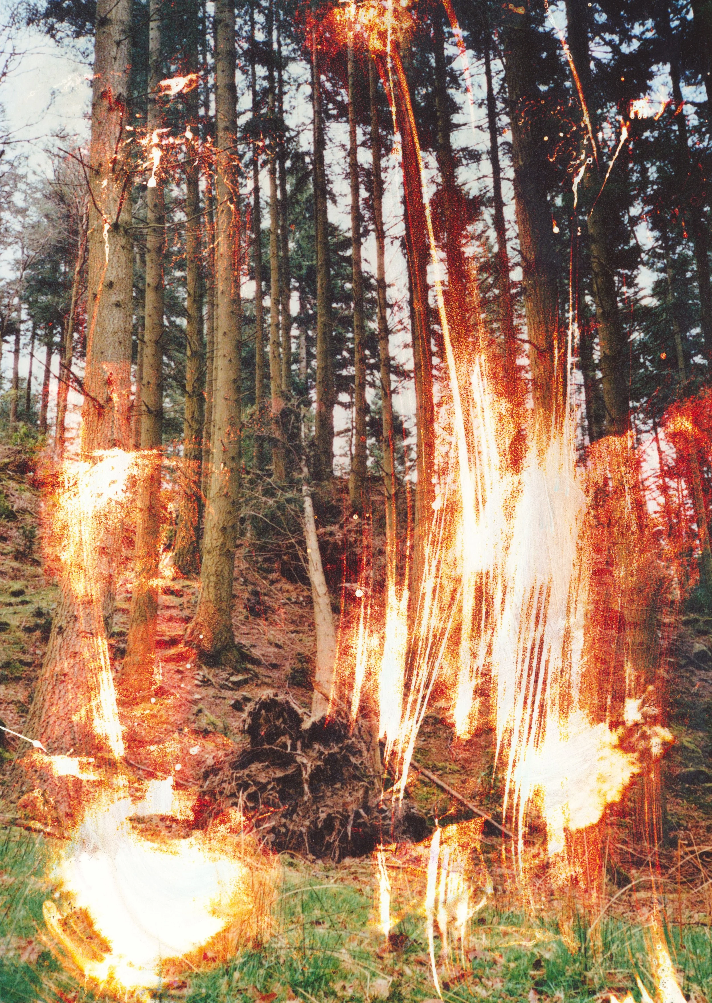 Scan-160523-0003.jpg