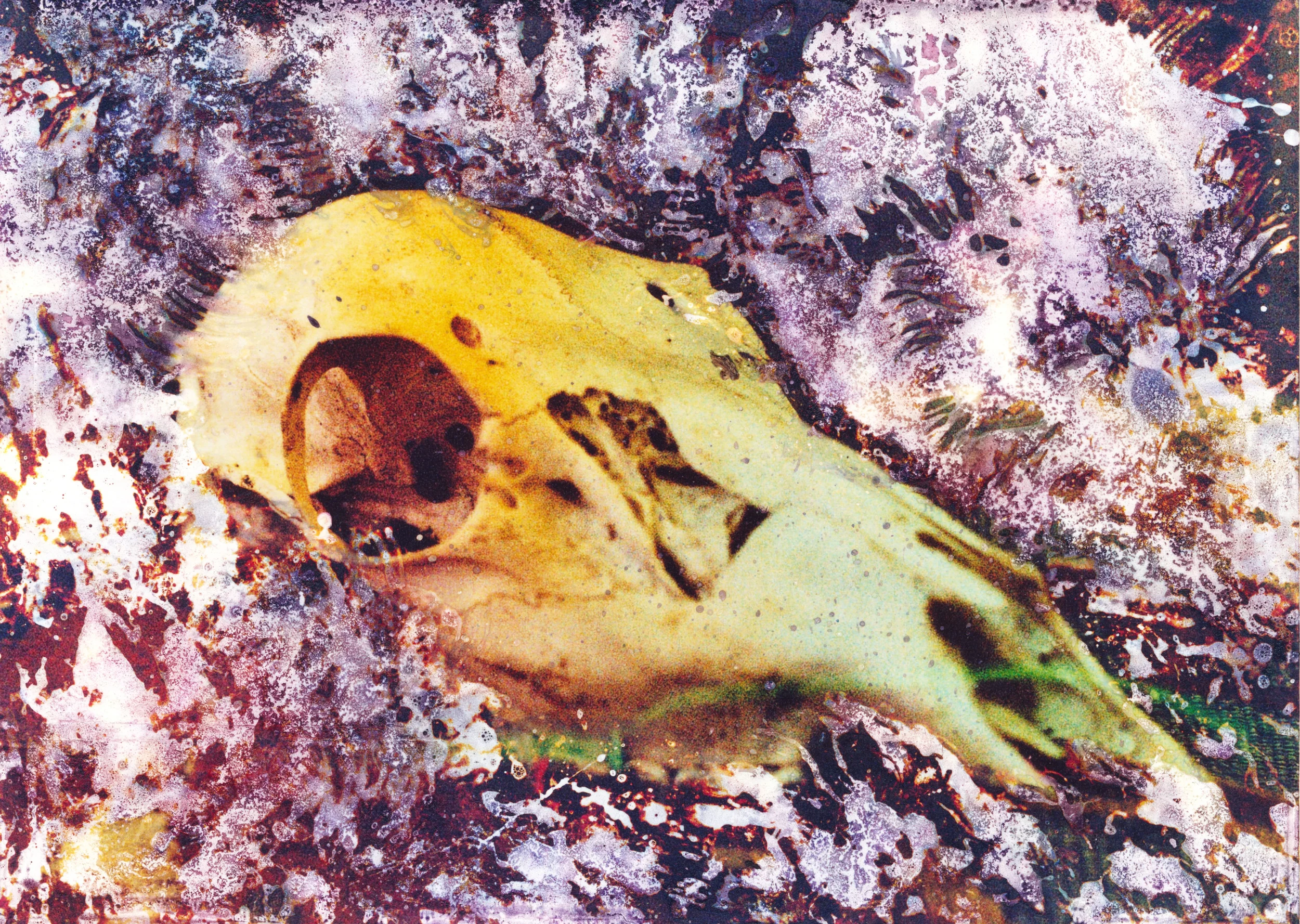 Scan-160621-0007.jpg