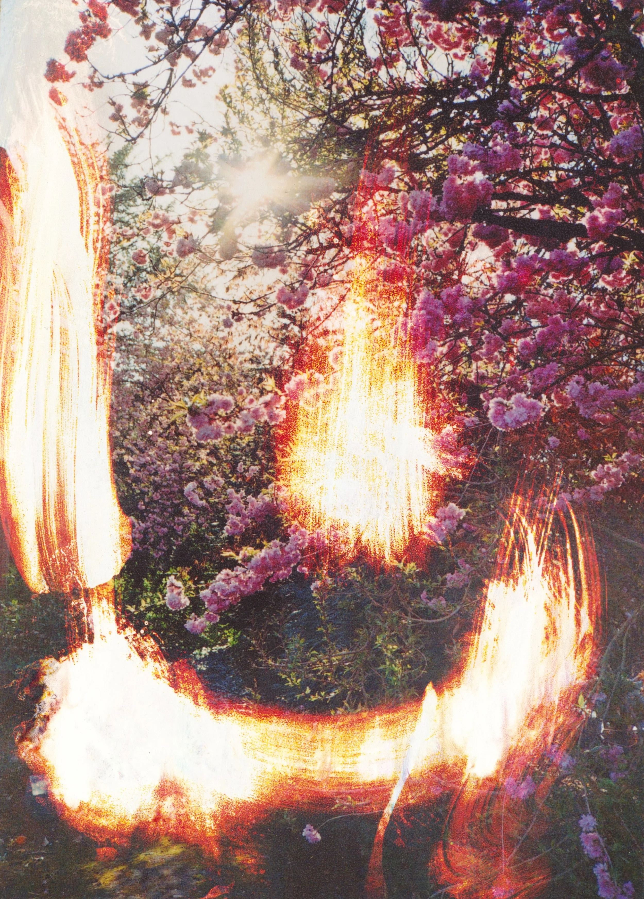 Scan-160523-0007.jpg
