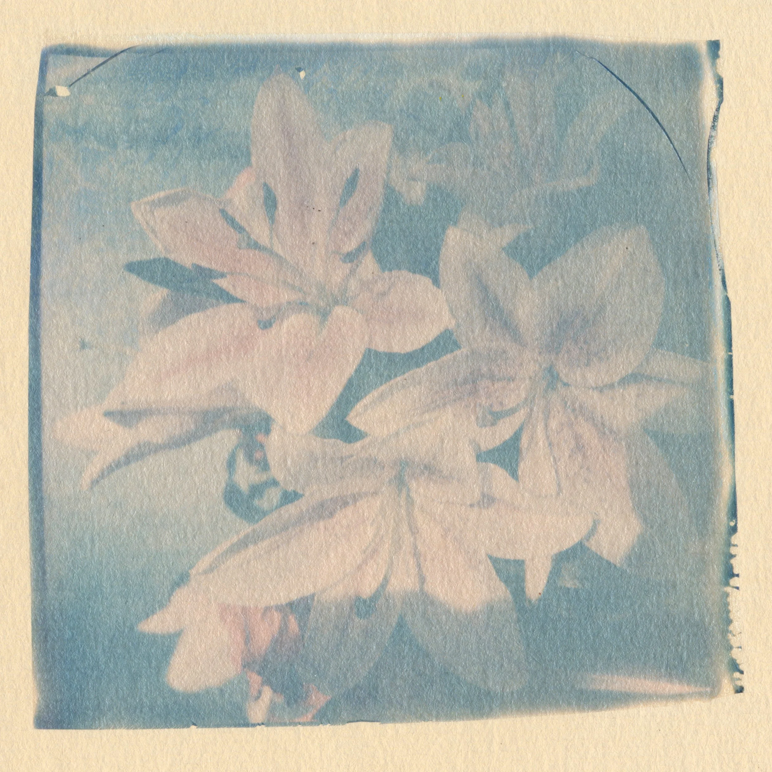 Scan-181023-0002.jpg