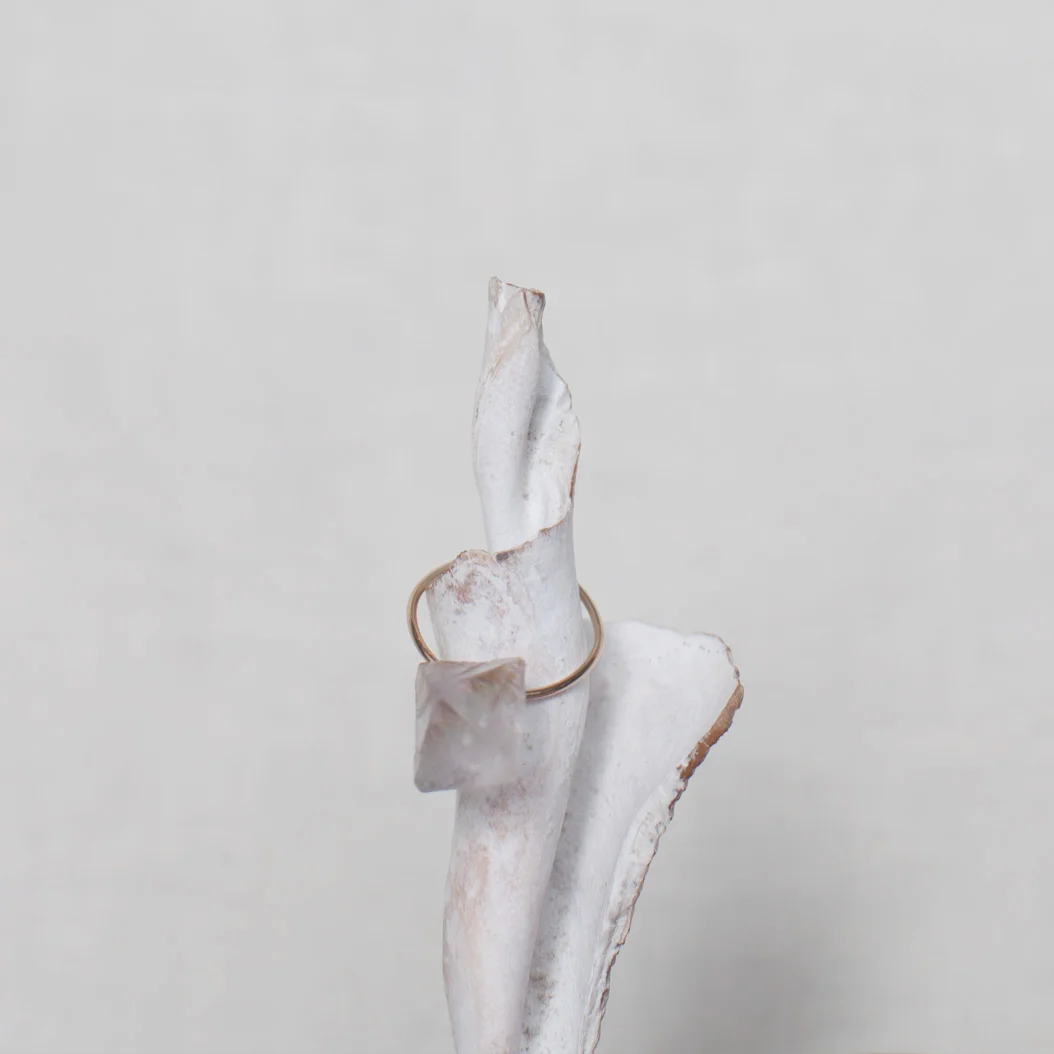 ring2.jpg