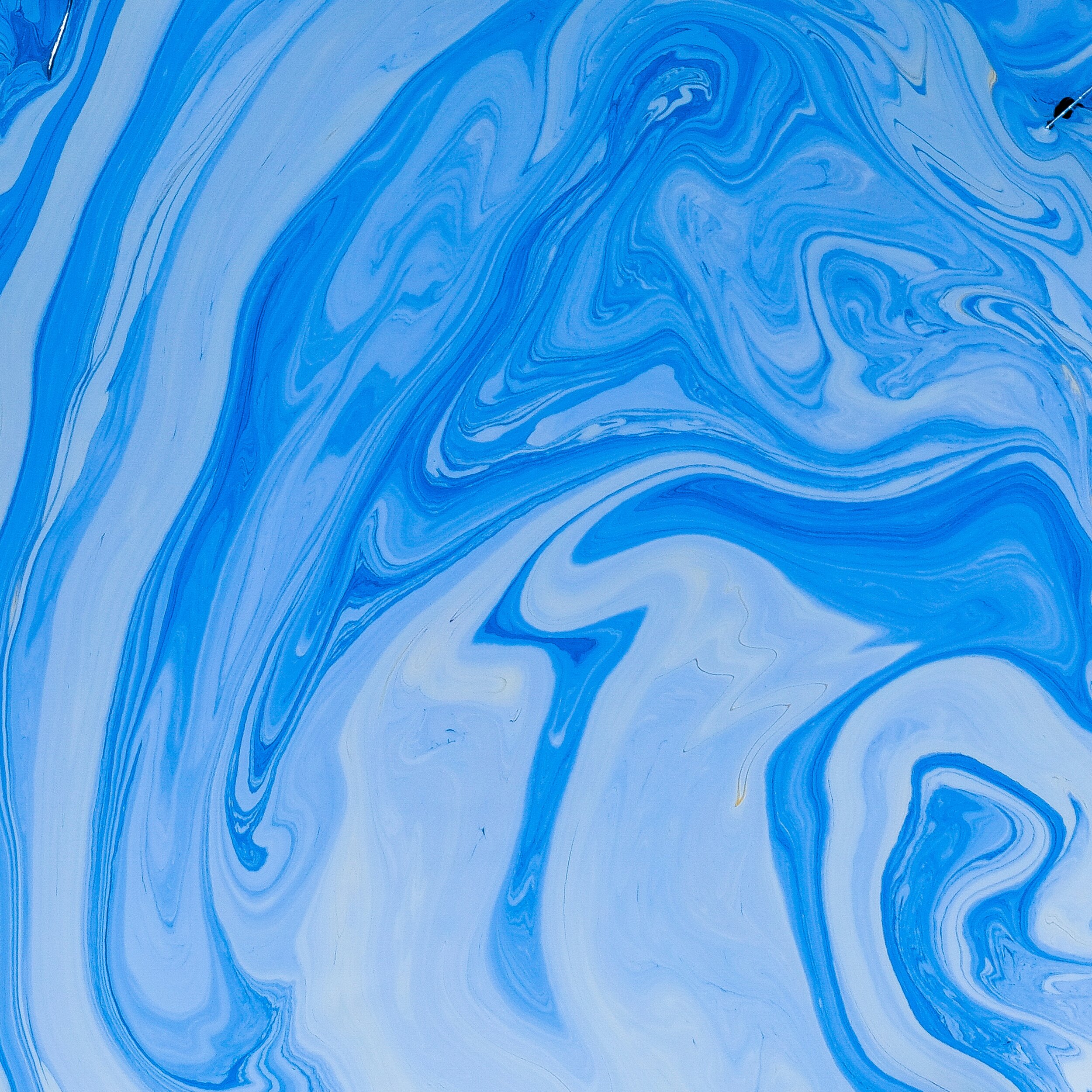 Case Study: Keeping Content on Brand
