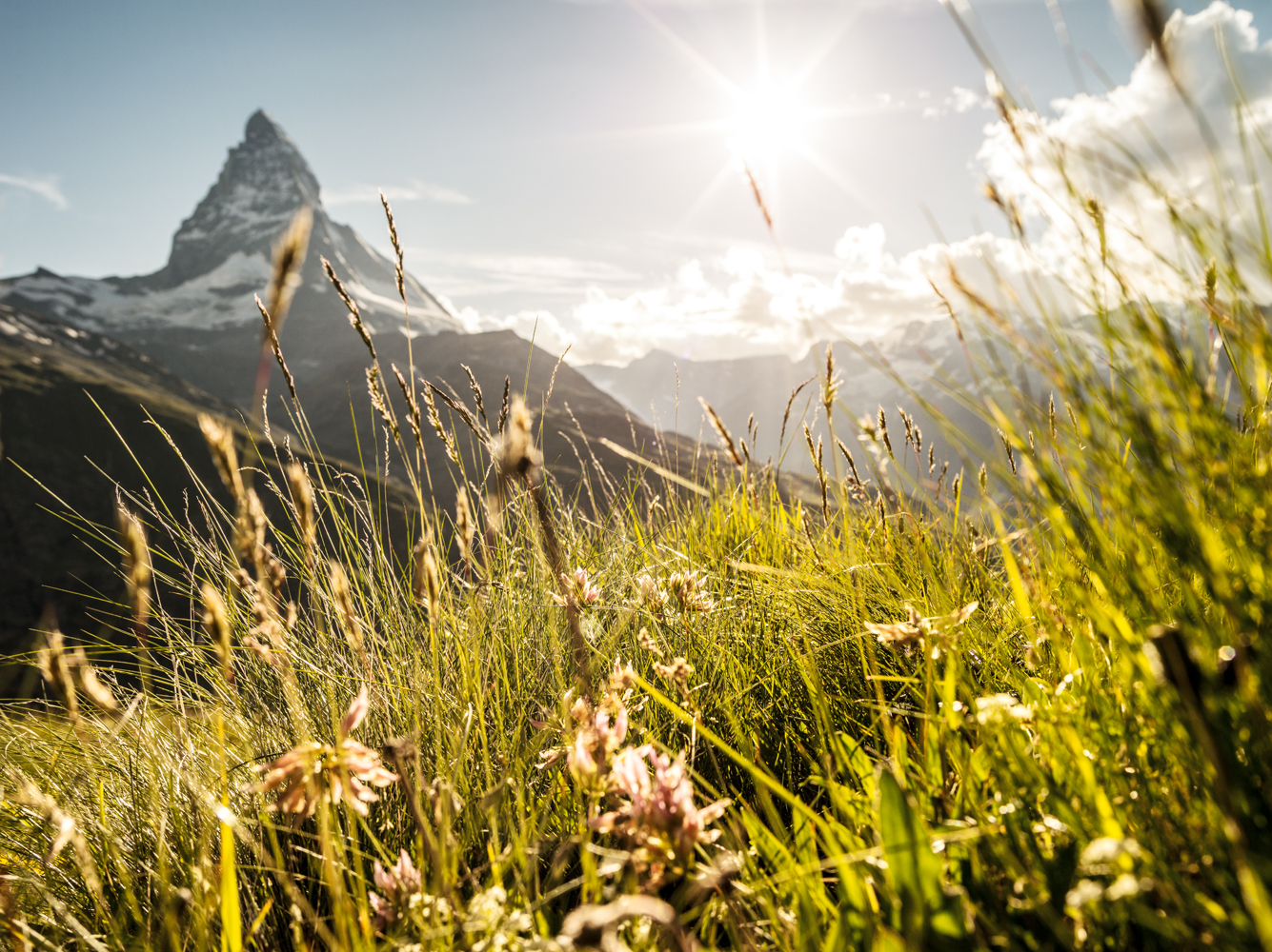 Zermatt_IMGP9794_RGB.jpg