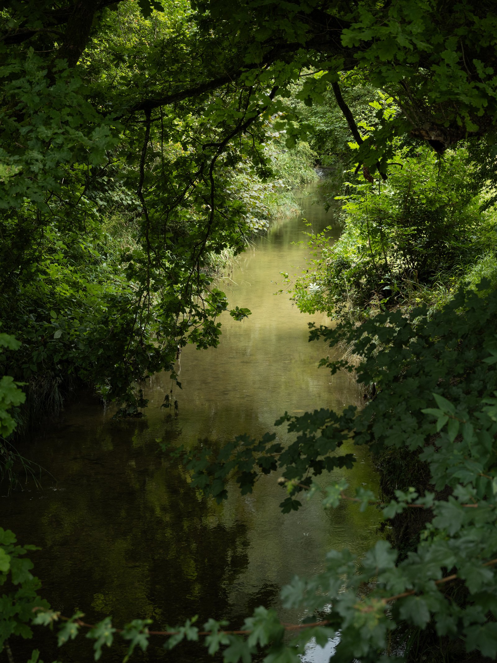 Mattenbach_DSF6494 Kopie.jpg