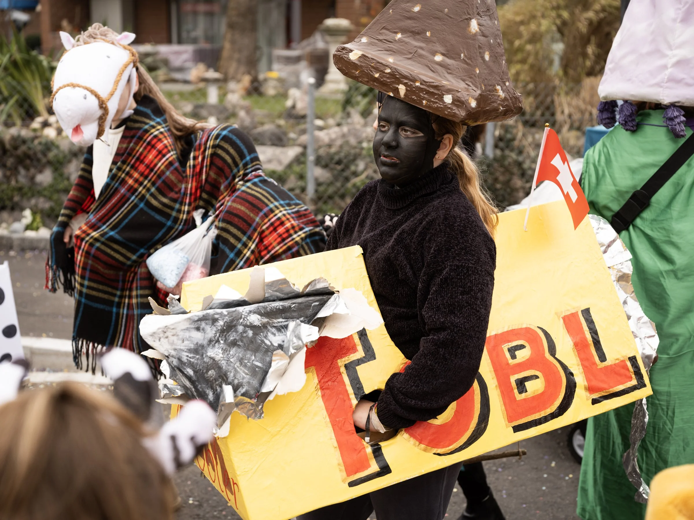 11_SLF_Fasnacht_Winterthur__DSF3666.jpg