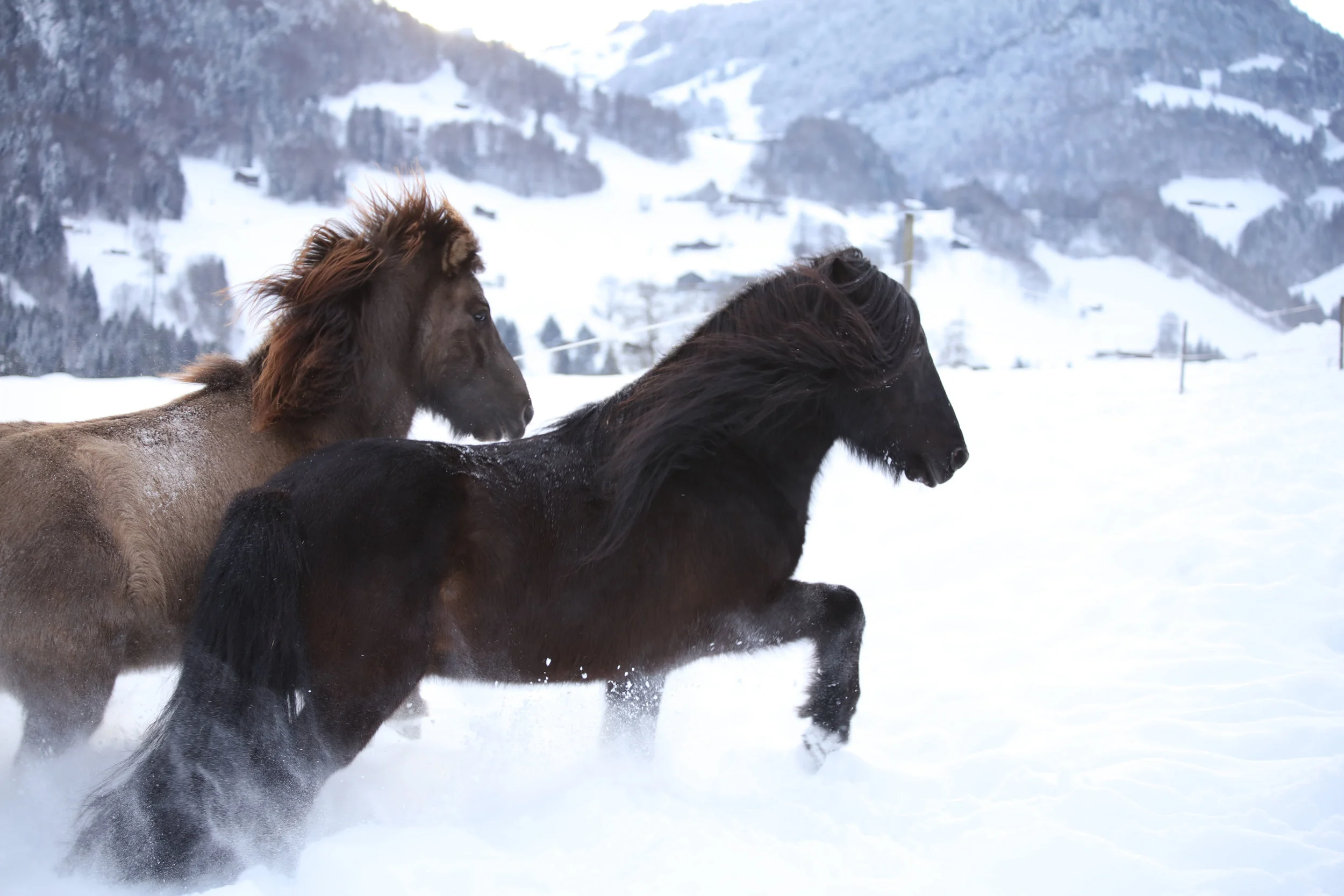 Winterspiele